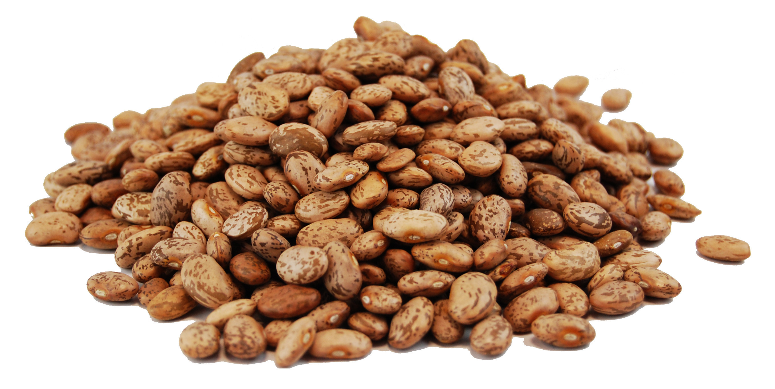 Dried Pinto Beans 25kg Buy now at Mexgrocer.co.uk